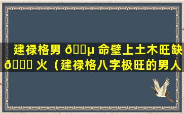 建禄格男 🌵 命壁上土木旺缺 🐕 火（建禄格八字极旺的男人）